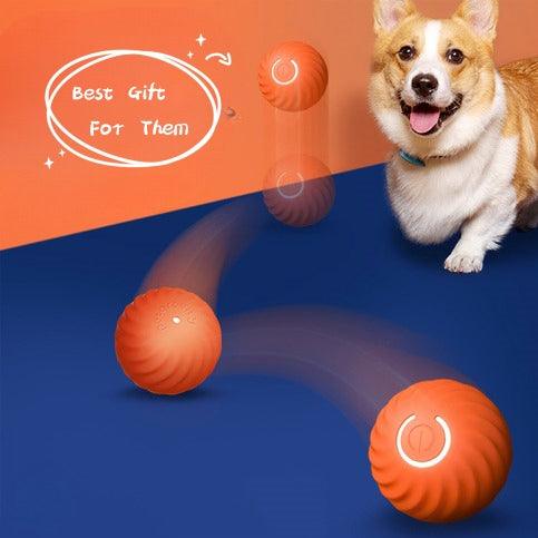 Pet Dog Rubber Ball Toys For Dogs Resistance To Bite Dog Chew Toys Puppy Pets Dogs Training Products - Rikoto