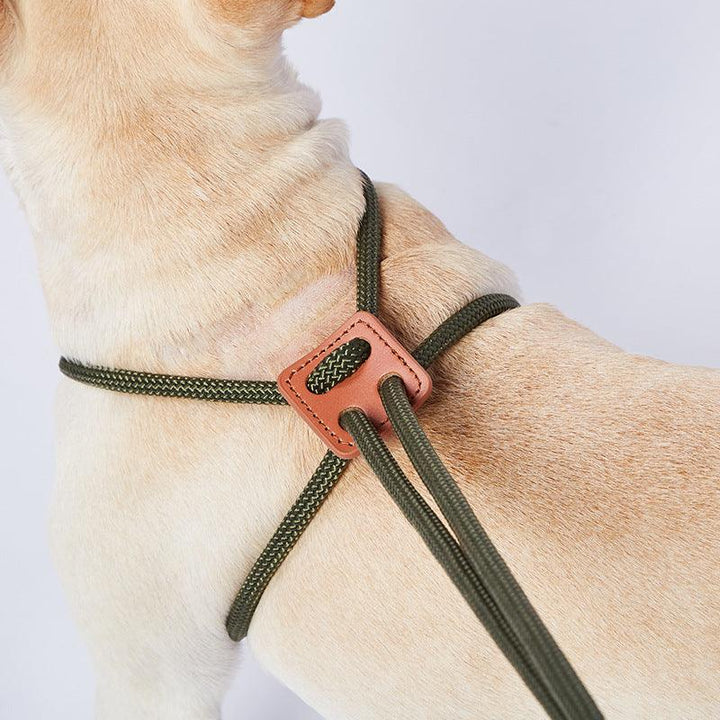 Leash Chest-back Dog Leash Pet Products - Rikoto