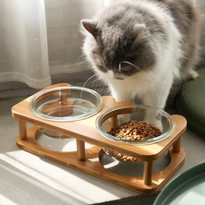 Glass Cat Food Bowl - Rikoto