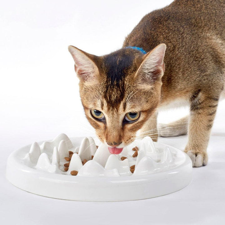 Ceramic Slow Food Cat Bowl - Rikoto