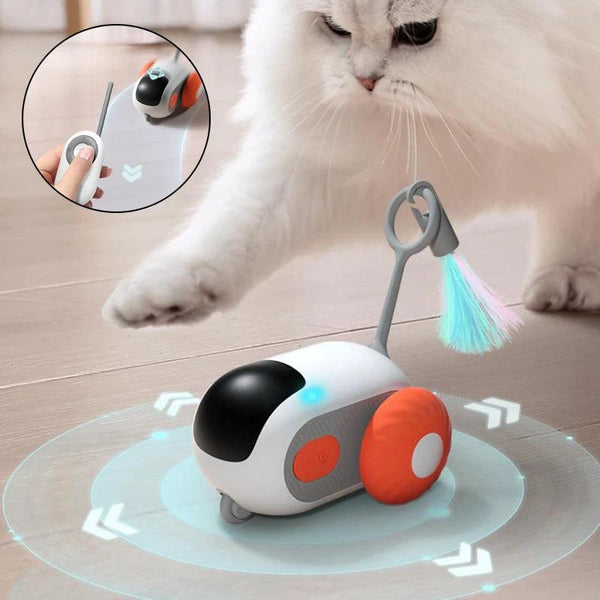 Interactive Cat Toy USB - Rikoto