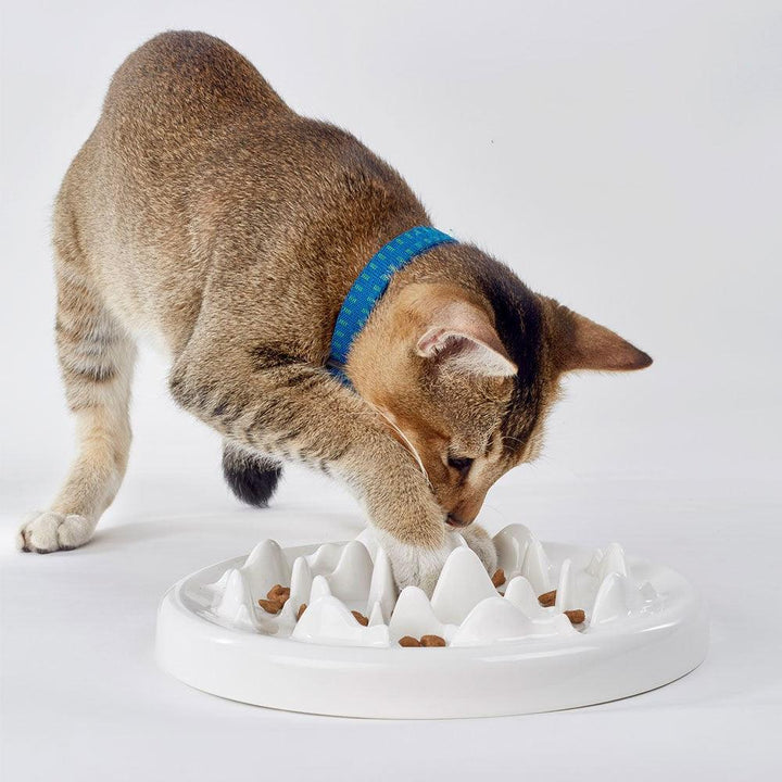 Ceramic Slow Food Cat Bowl - Rikoto