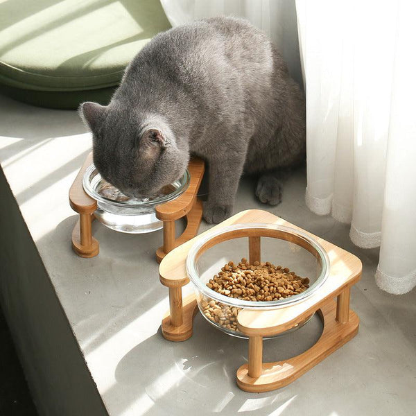 Glass Cat Food Bowl - Rikoto