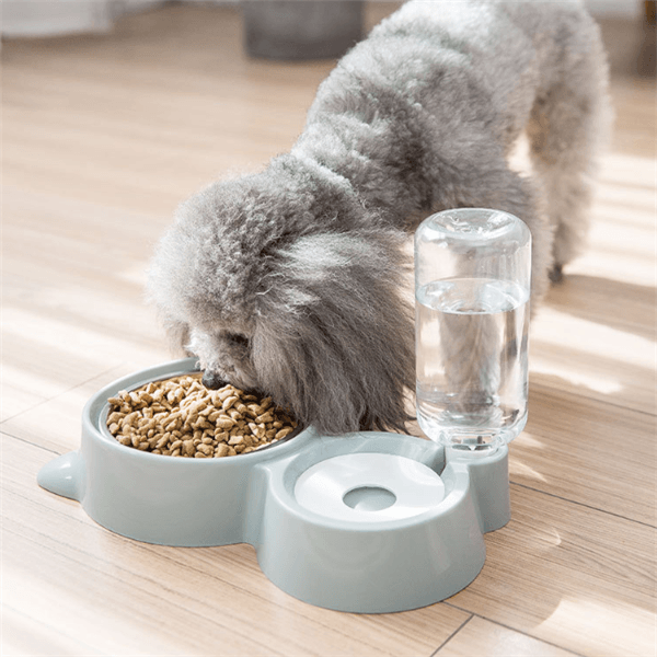 Automatic Water Refill Dog Bowl - Rikoto