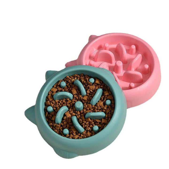 Pet Slow Feeder Bowl - Rikoto