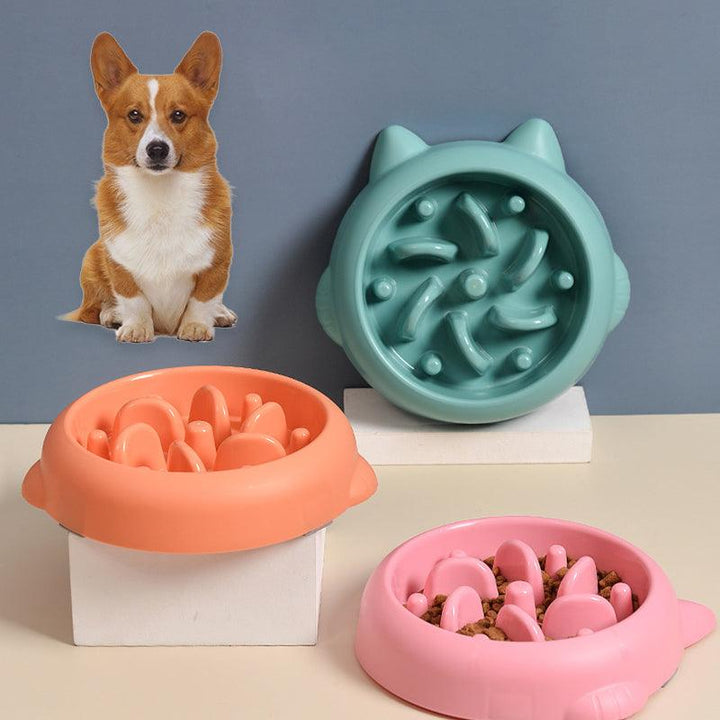 Pet Slow Feeder Bowl - Rikoto