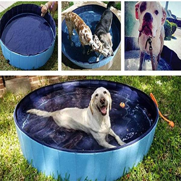 Dog Foldable Swimming Pool - Rikoto