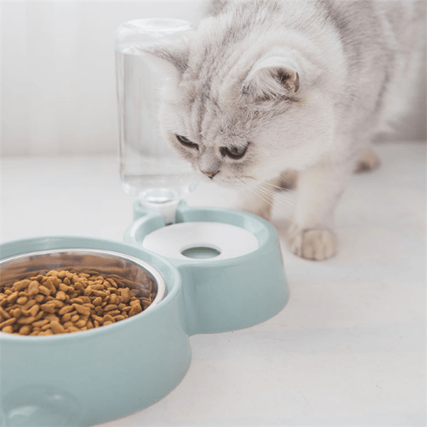 Automatic Water Refill Dog Bowl - Rikoto