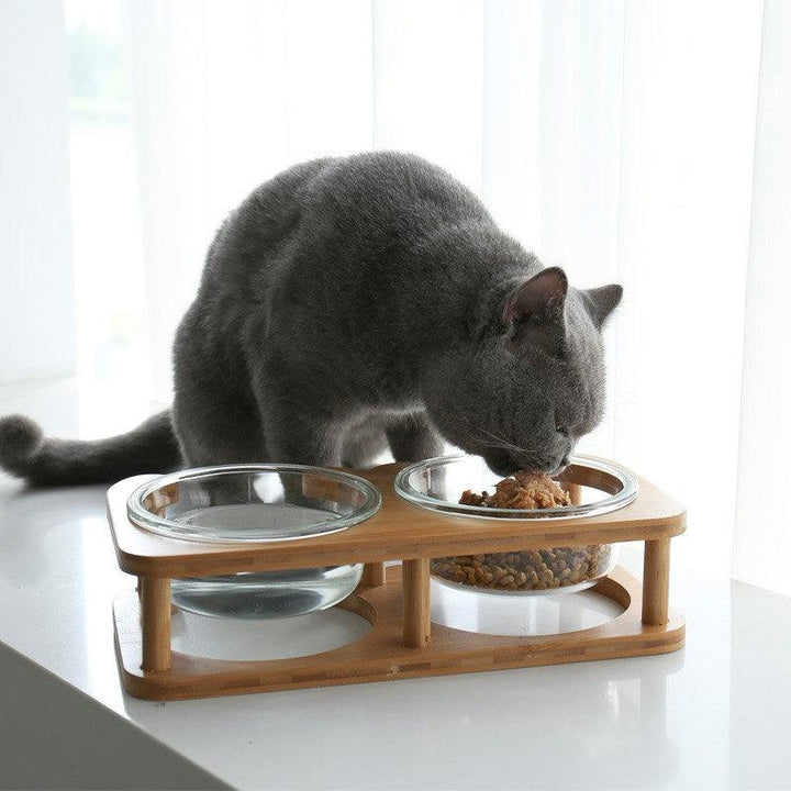 Glass Cat Food Bowl - Rikoto