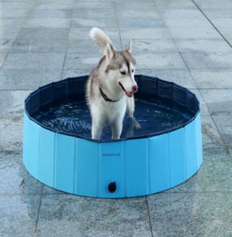 Dog Foldable Swimming Pool - Rikoto