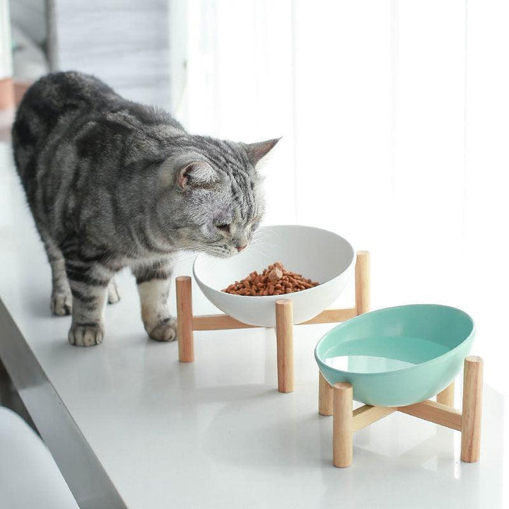 Ceramic Drinking Cat Bowl - Rikoto