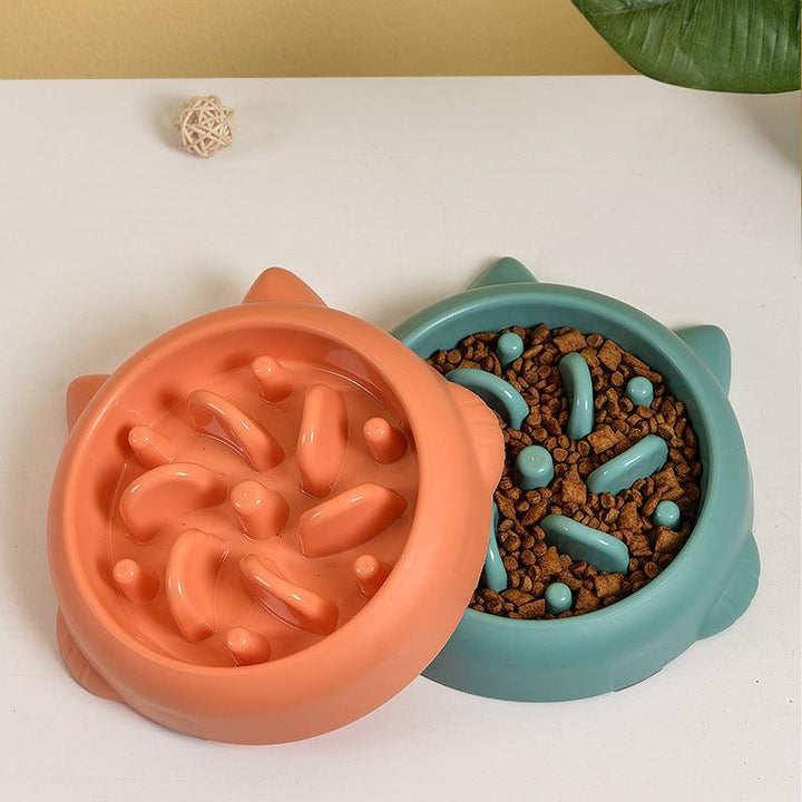 Pet Slow Feeder Bowl - Rikoto