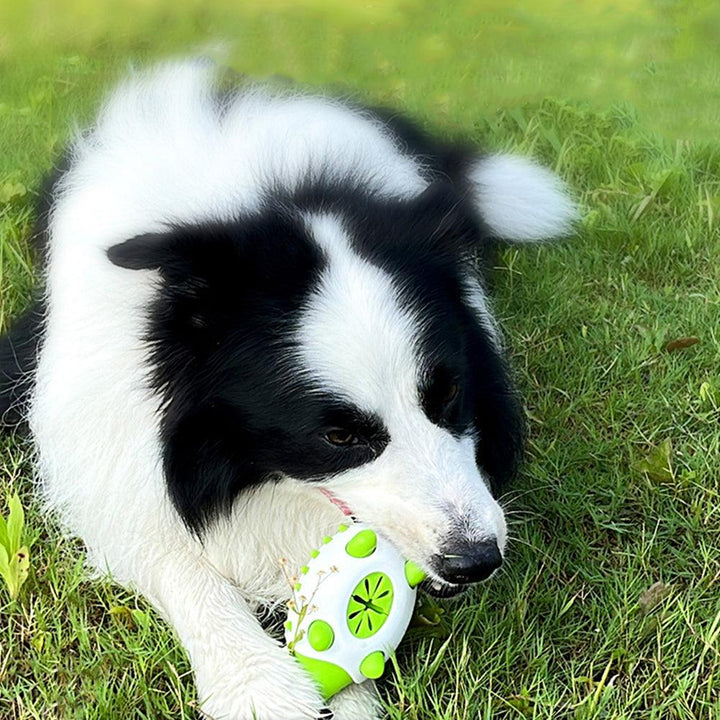 Chewing Leaking Food Dog Toy - Rikoto