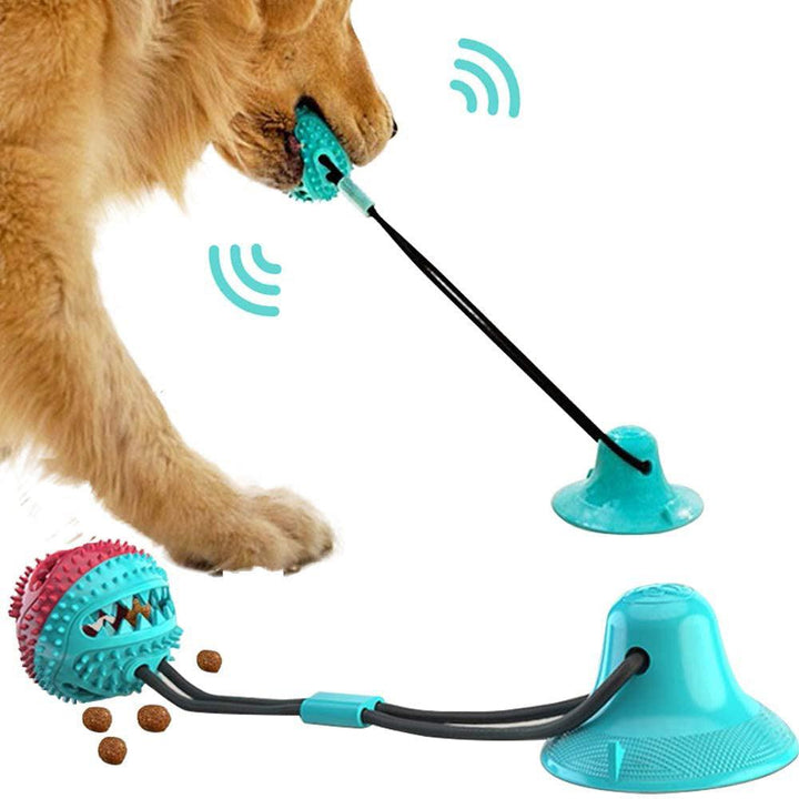 Silicon Suction Cup Tug Dog Toy - Rikoto