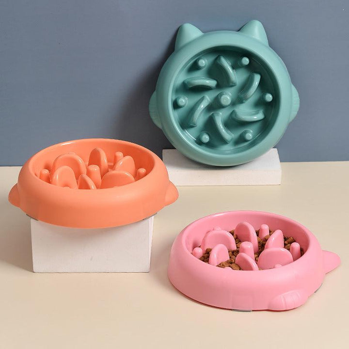 Pet Slow Feeder Bowl - Rikoto